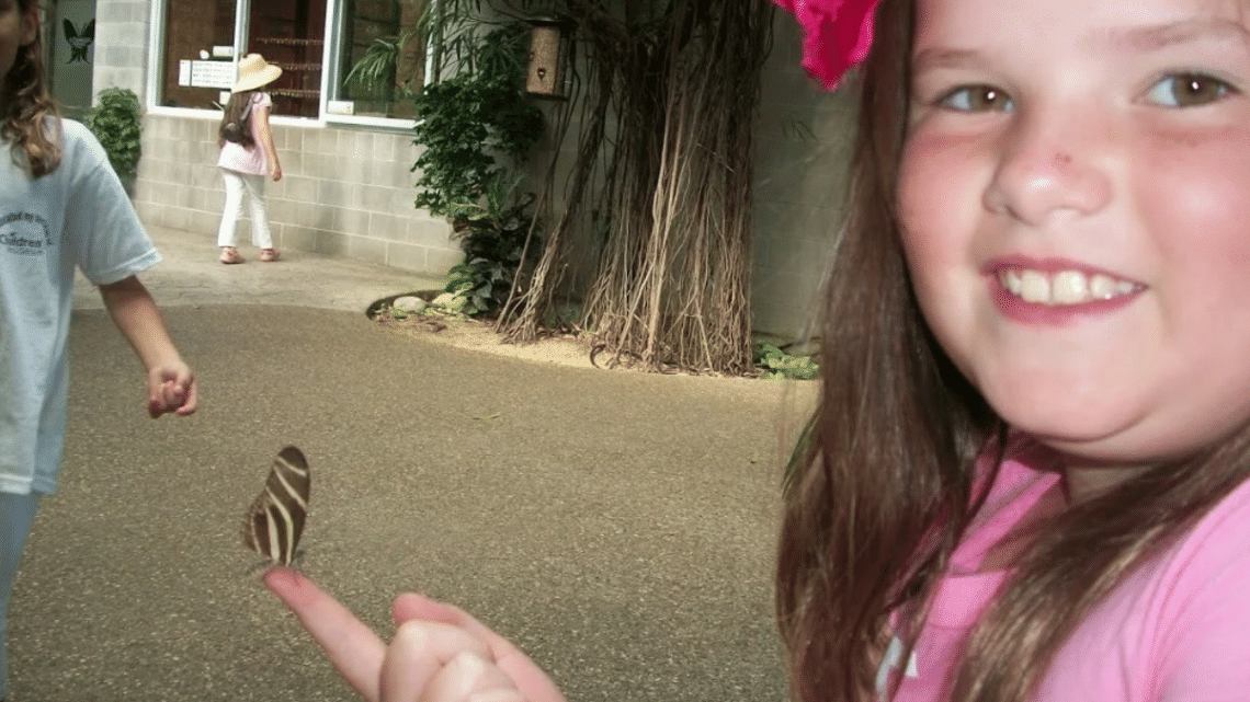 little girl with pink flower in her hair and feckless on her face, has hazel eyes and is smiling at camera with a butterfly that has landed on her outstretched fingertip palm facing up. Appears to be standing in the entry way of a butterfly conservatory with beige floor