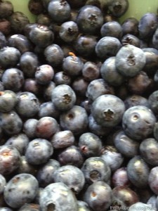blueberries 004