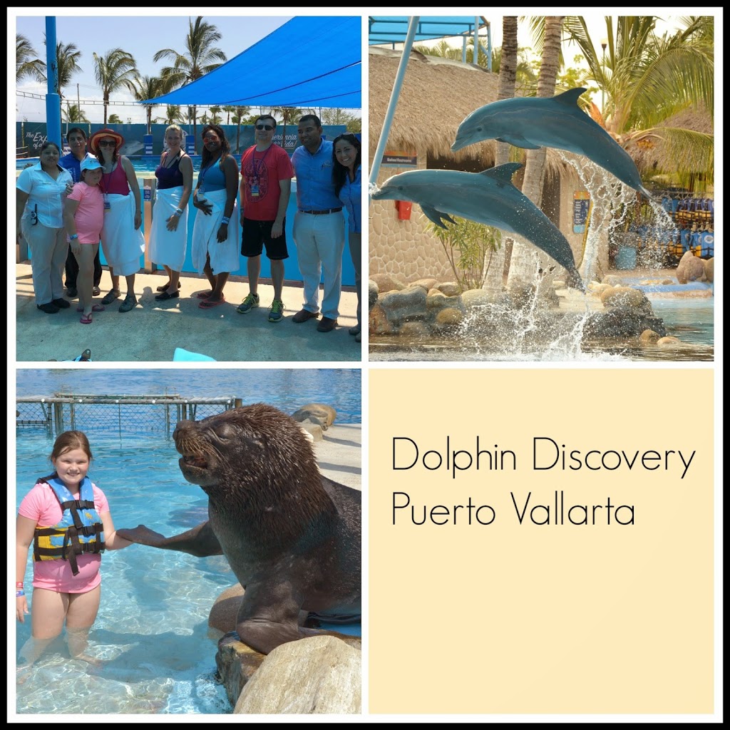 Dolphin Discovery Aquaventuras Waterpark Puerto Vallarta 