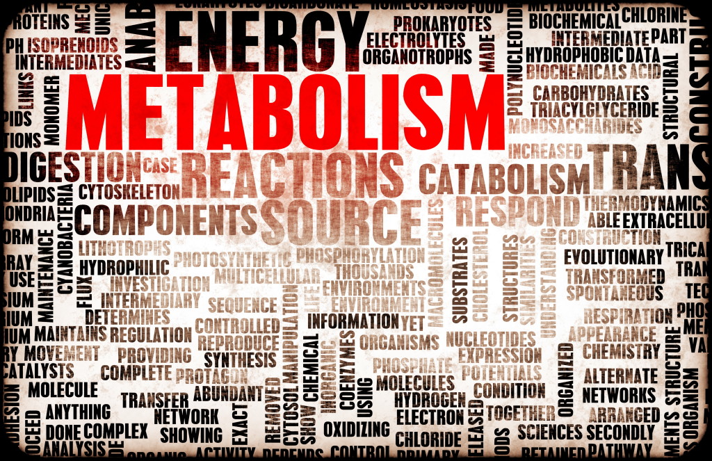 Metabolism as a Medical Health Exercise Concept