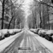 winter cars in snow black and white photo of a streetscape in the winter in a city like New York