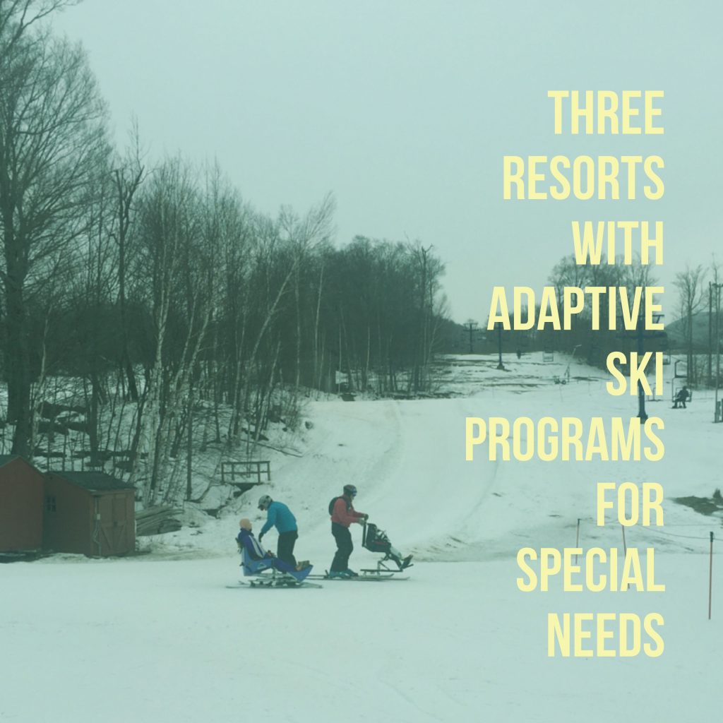 adaptive ski