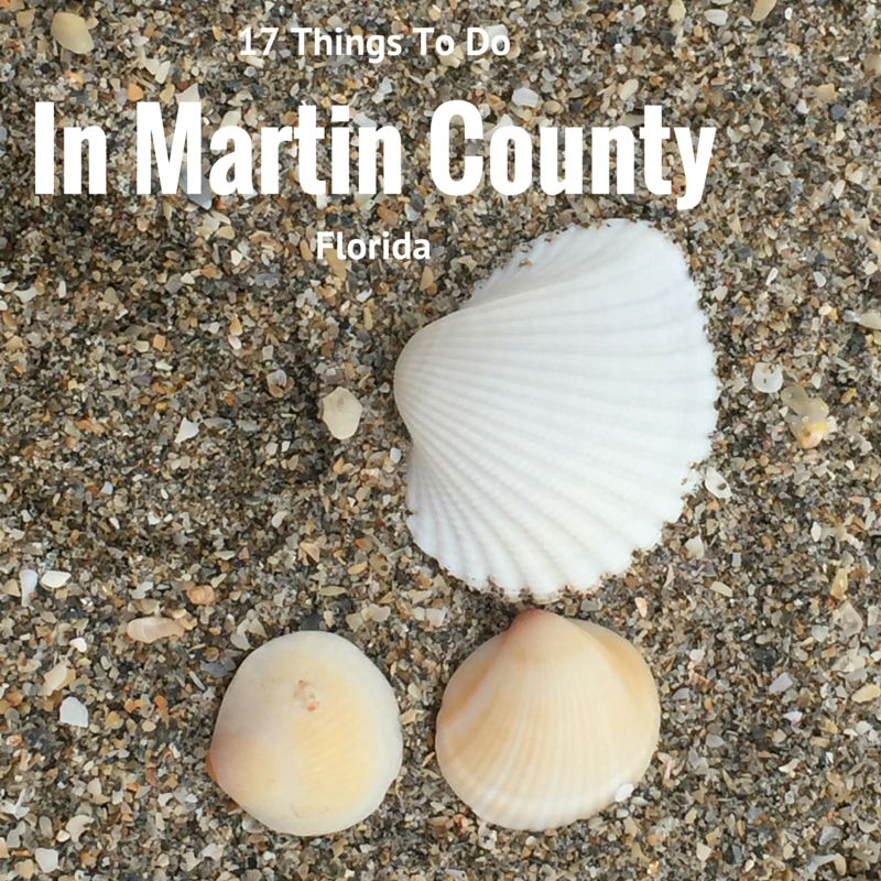 Martin_county