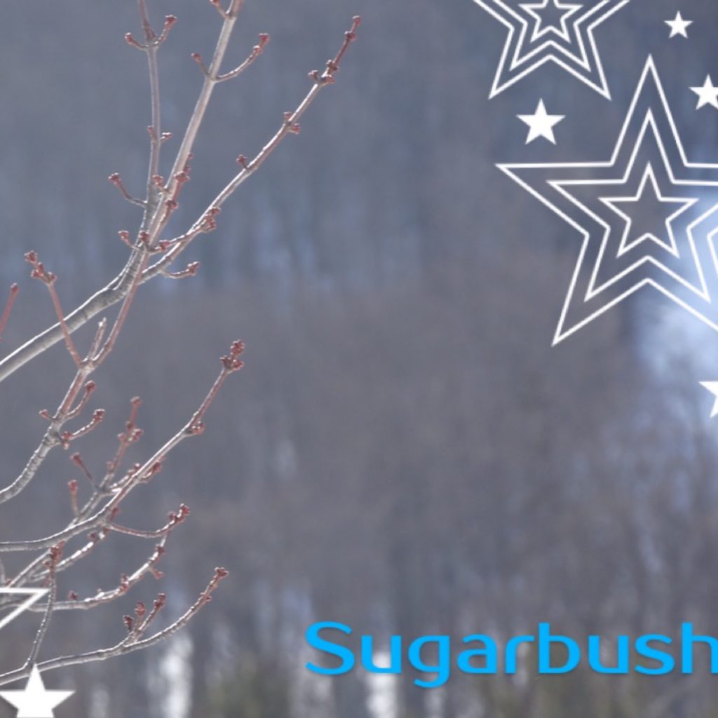sugarbush_inn