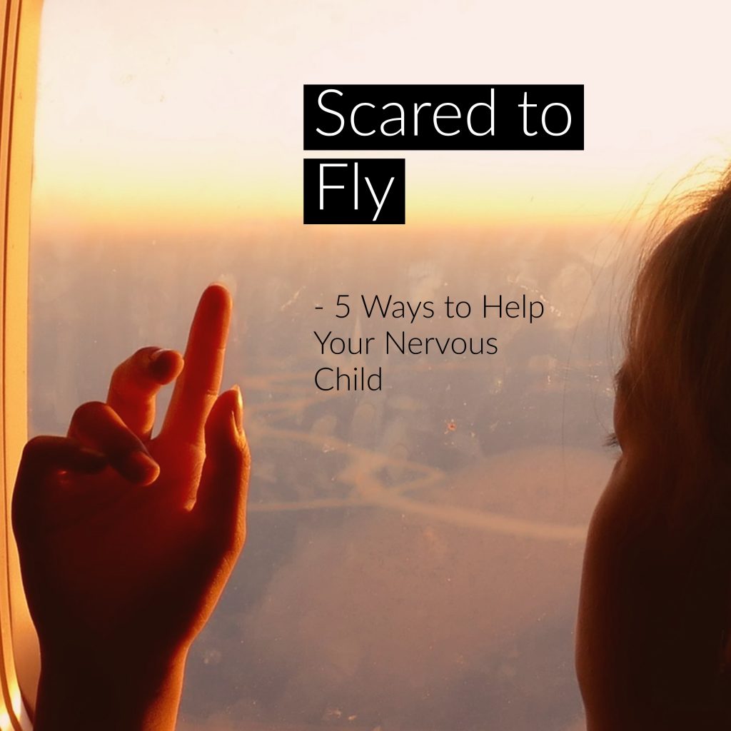 scared_to_fly