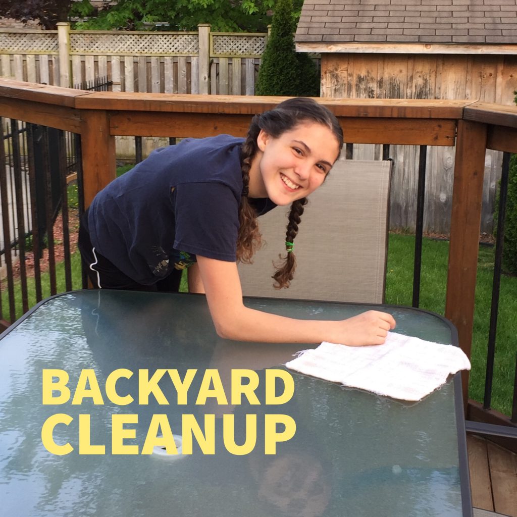 backyard_cleanup