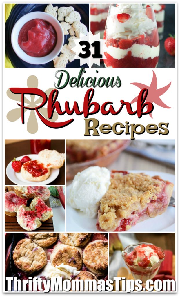 rhubarb_recipes