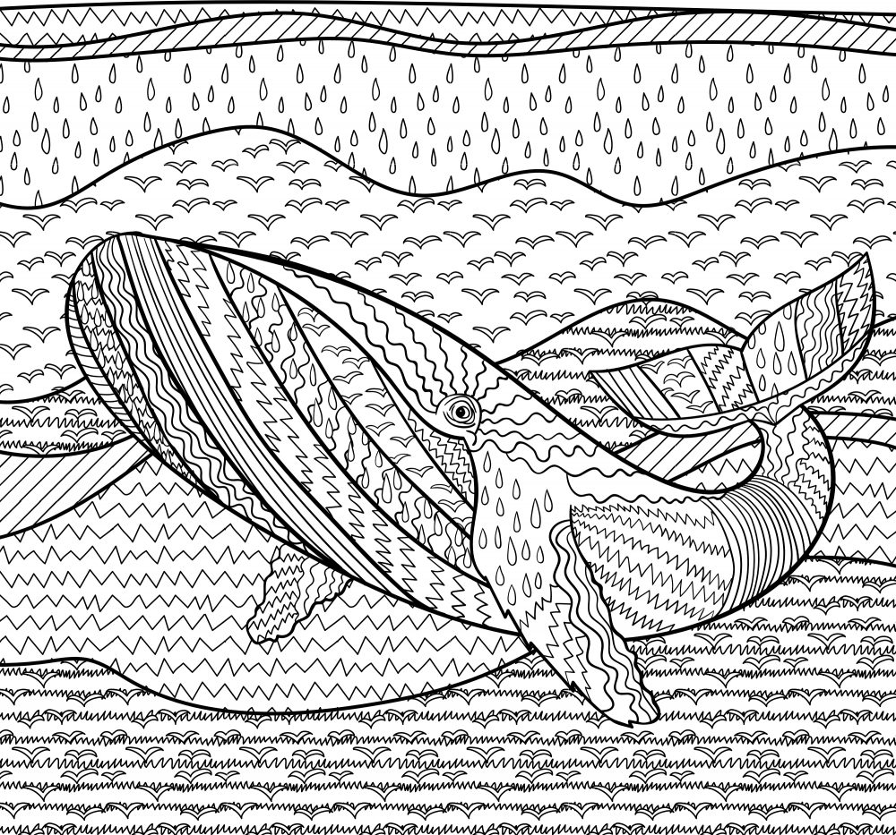 whale_colouring_page