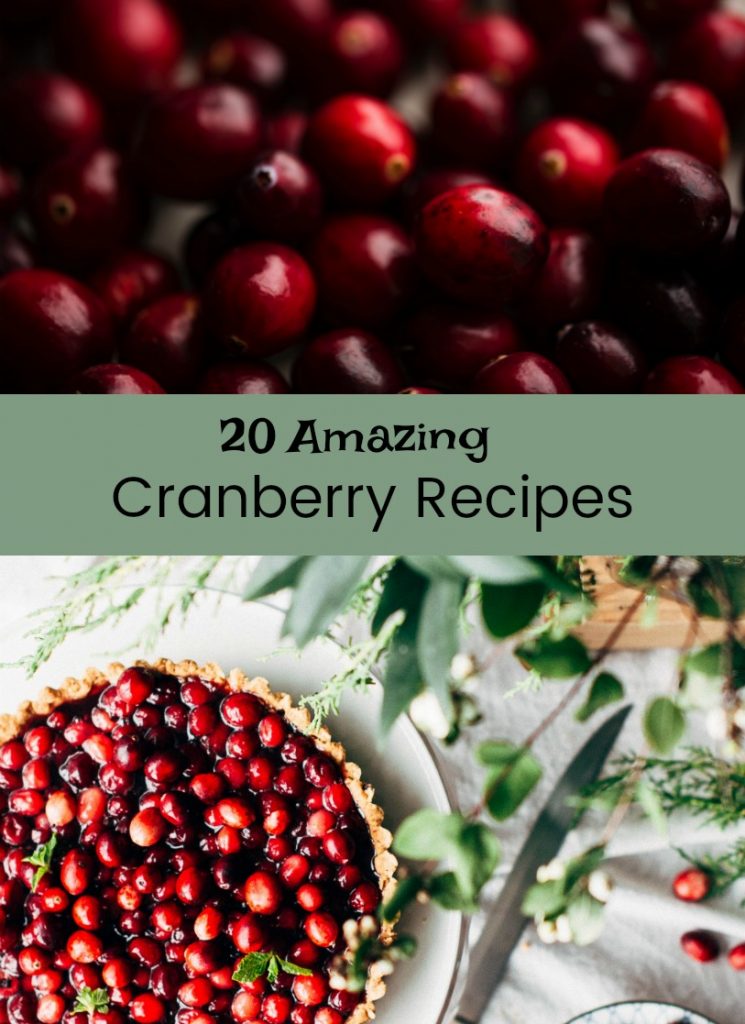 cranberry_recipes