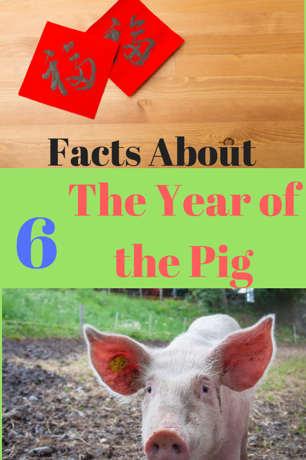 year_of_the_pig