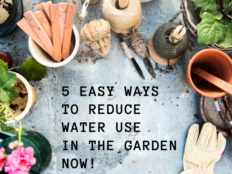 reduce_water_use_in_the_garden