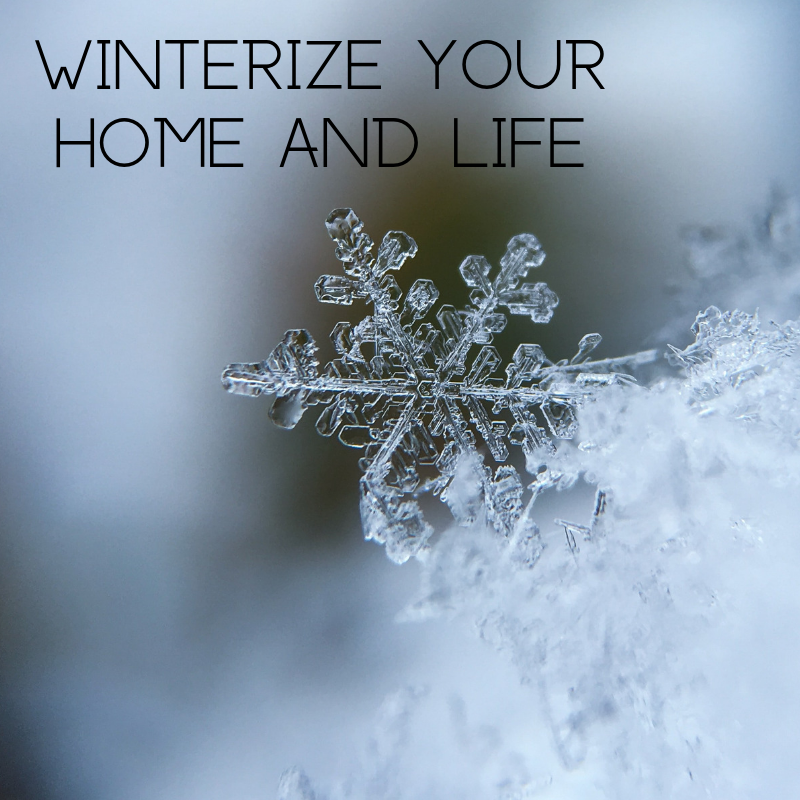 Cost Effective Ways to Winterize Your Home Thrifty Mommas Tips