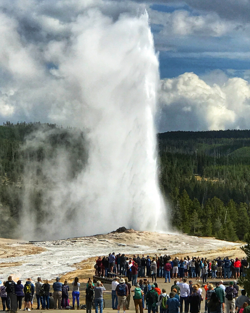 old faithful erupting at yellowstone national park wyoming as a crowd of people look on. Group travel adventures with Austin Adventures