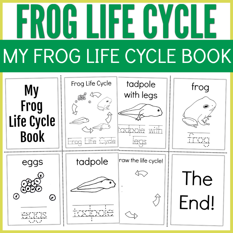 frog_life_cycle