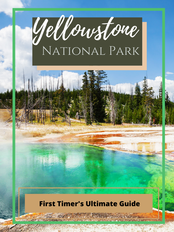 first_yellowstone_visit_Thrifty_Mommas_Tips