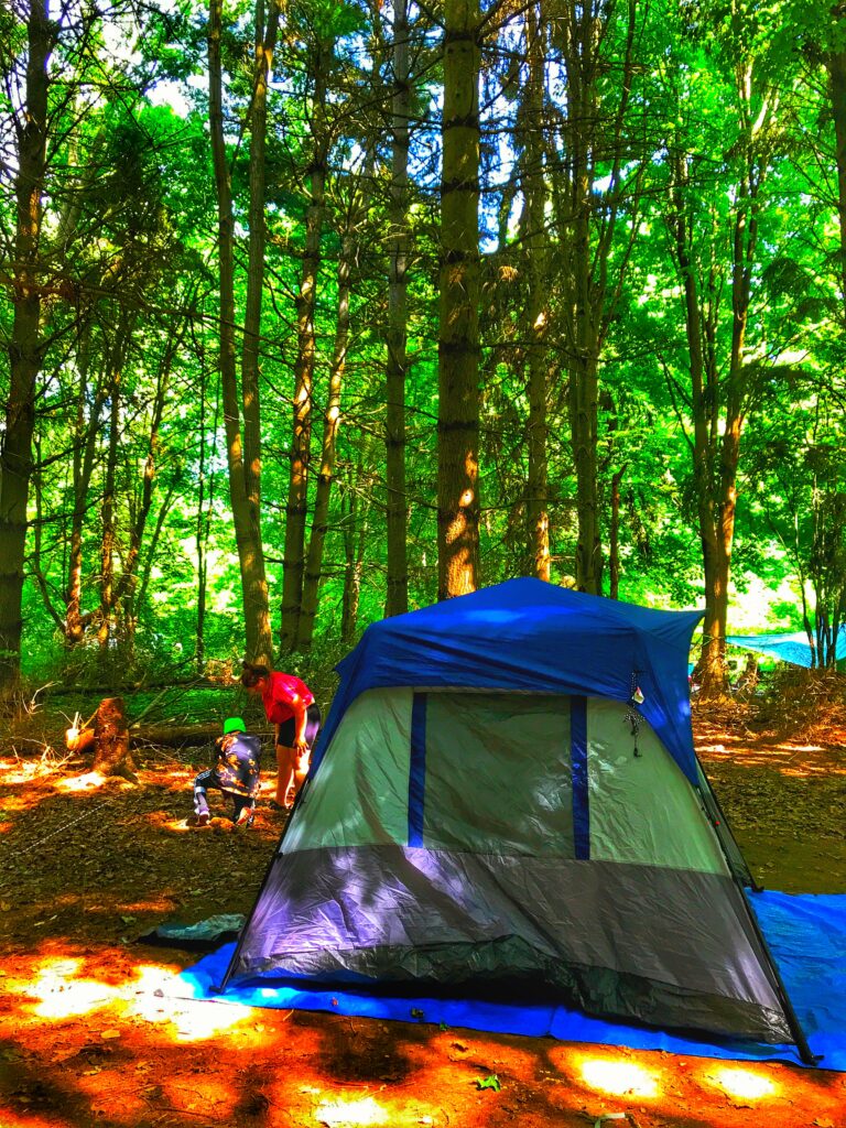 tent_in_provincial_park_two_girls_setting_up_srrounded_by_trees