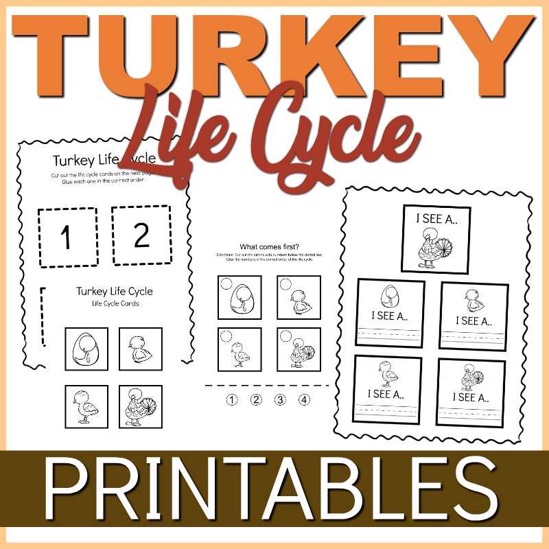 turkey_life_cycle_printable_thrifty_mommas_tips