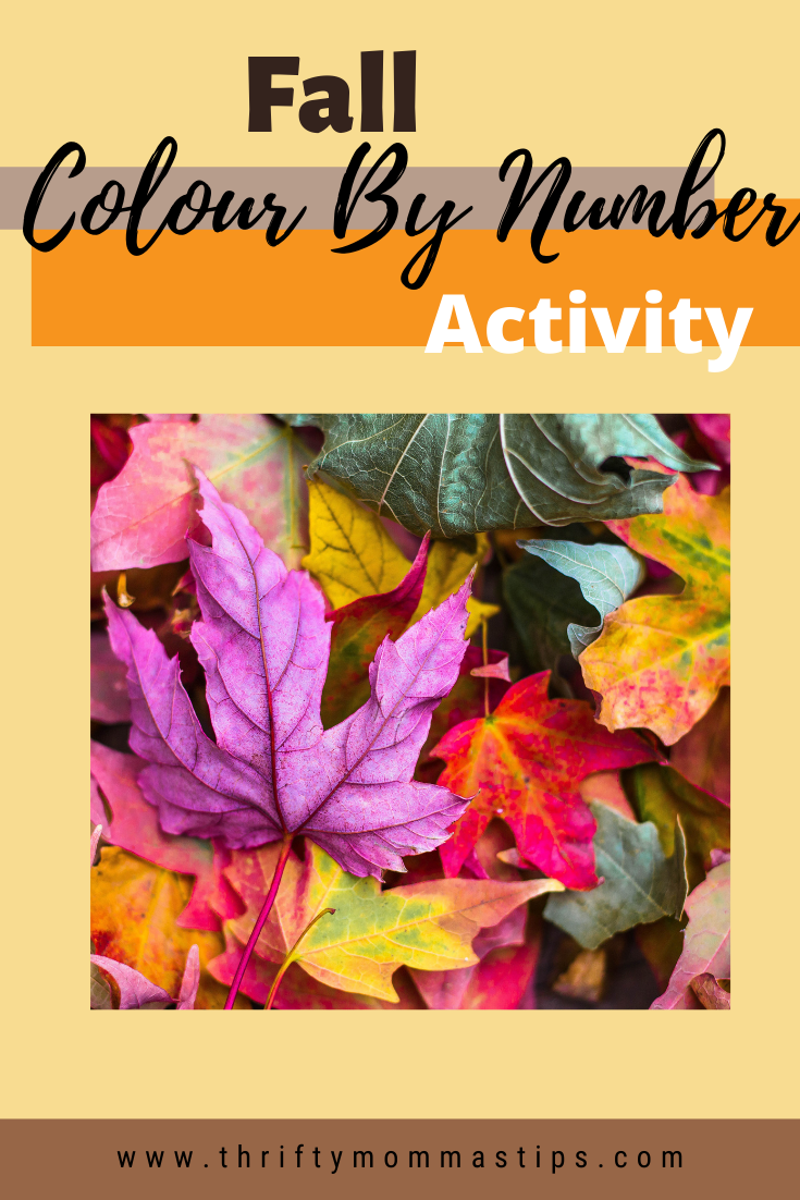 Fun Fall Colour By Number Activity - Thrifty Mommas Tips
