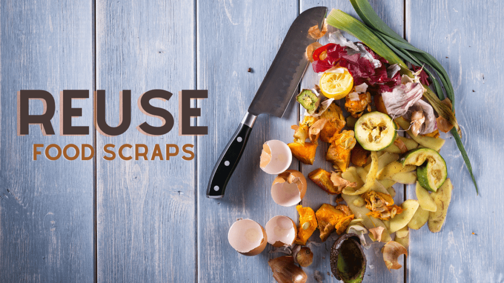 reuse_food_scraps