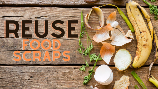 reuse_food_scraps