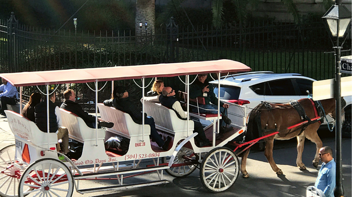 New_orleans_carriage