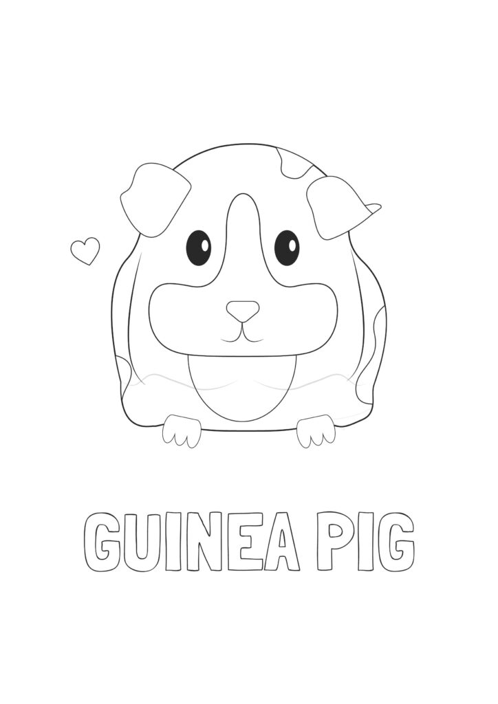 guinea_pig_colouring_page