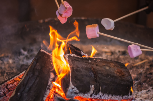 campfire_fire_safety
