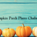 pumpkin_patch
