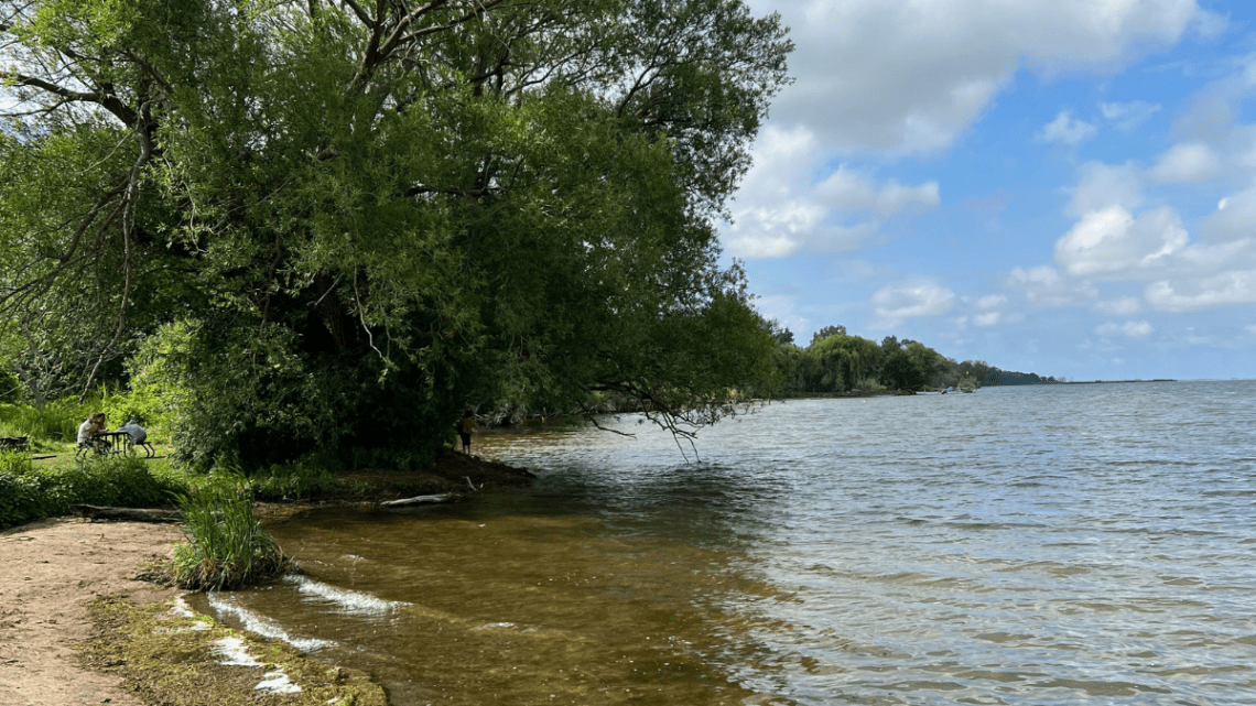 camping and trees stretching into a lake