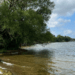 camping and trees stretching into a lake