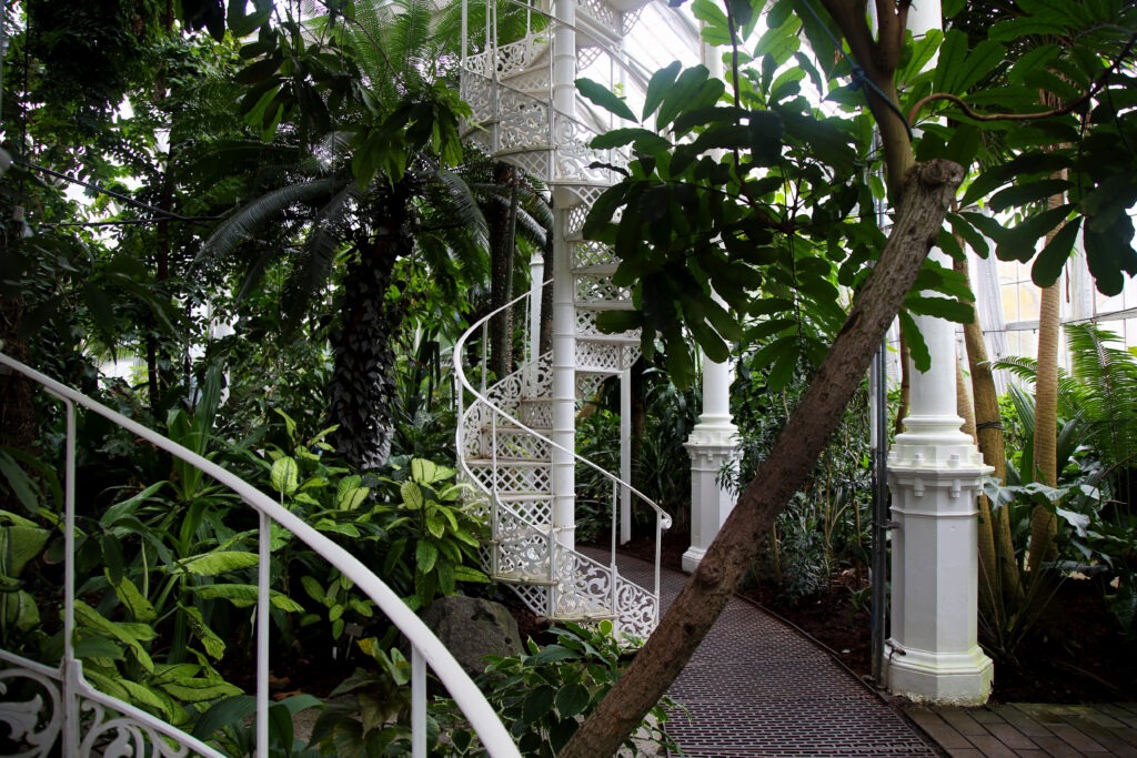 THE PALM HOUSE IN THE BOTANICAL GARDEN. NATURAL HISTORY MUSEUM DENMARK ©