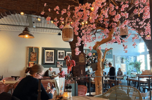 Inside a colourful restaurant in Alkmaar Netherlands. A woman is seated at a table in the foreground. There are cherry blossoms that are pink hanging from the ceiling off of a fake tree with twinkling lights and brown brick walls that make it look cozy. In behind a server is waiting on a table and the restaurant is about half full but not overly crowded. The server appears to have Down syndrome